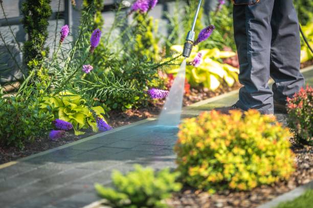 Best Gutter Cleaning  in Costa Mesa, CA